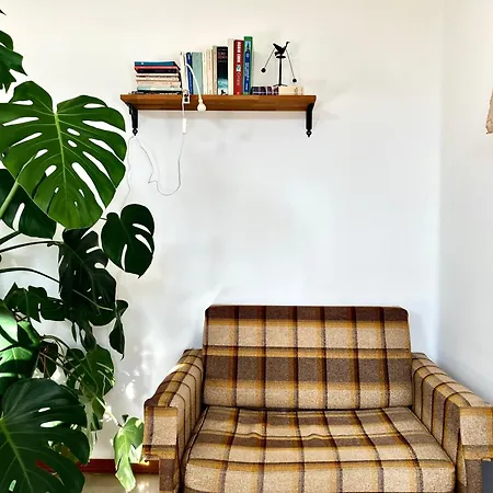 Buonocore 베르가모