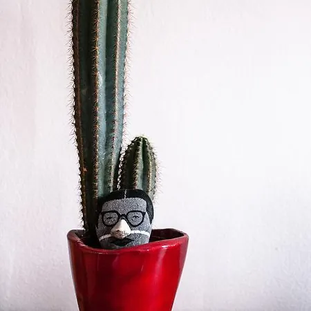 Buonocore Nocleg ze śniadaniem Bergamo