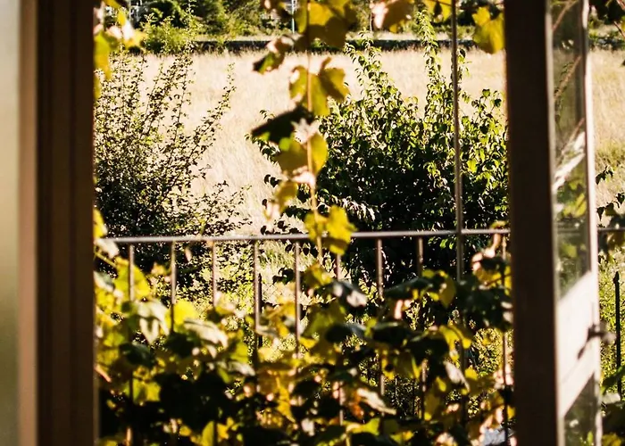 Buonocore Bed & Breakfast