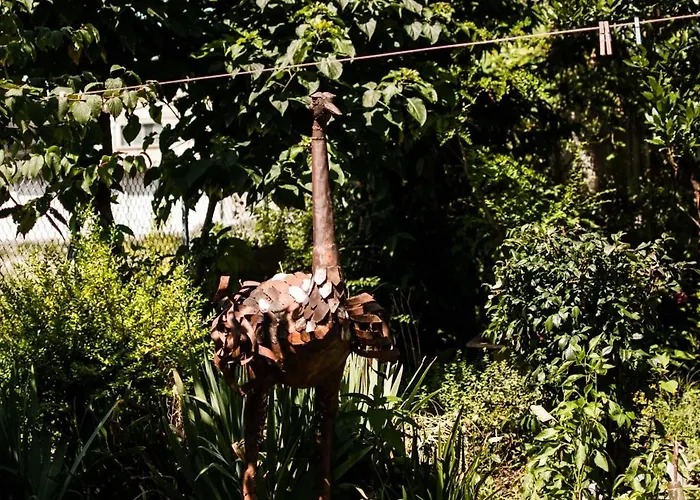 Alojamento de Acomodação e Pequeno-almoço Buonocore